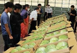 規格を確認する生産者ら