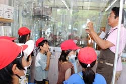 ヨーグルト出来るまでの様子を見学する児童