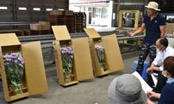 出荷規格を確認する生産者ら