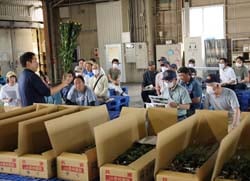 出荷規格や荷造り切り前などを確認した出荷査定会