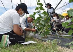 講師の指導を熱心に聞く受講者ら