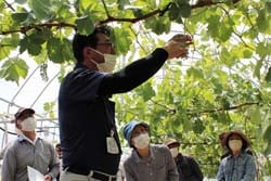 摘粒などの説明をする森田審議役