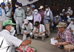 「あかつき」を見本に等階級を確認する生産者