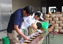 品質検査をするJA職員