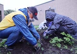 特別養護老人ホーム恋月荘の花壇づくりを行う参加者