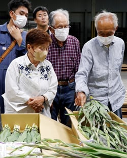 出荷規格を確認する部会員
