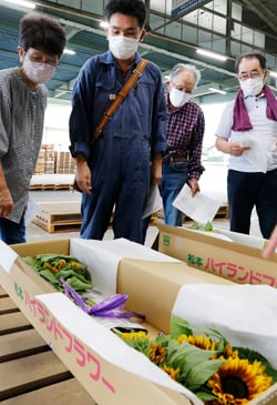 出荷規格を確認する部会員