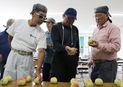 見本を手に取って確認する生産者