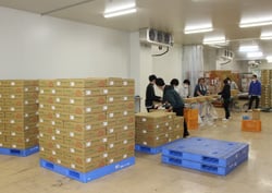 予冷庫内で発送作業を行うJA職員ら