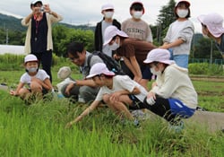 田んぼの生き物探しを楽しむ児童ら（長野県飯田市で）