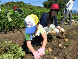 高校生と収穫作業を楽しむこども（長野県長野市、8月5日）