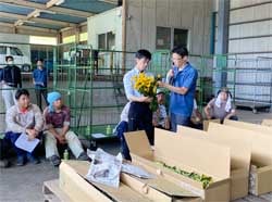 出荷規格など確認した査定会