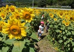 迷路をかけまわる園児たち