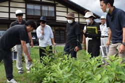 圃場視察をする普及職員ら