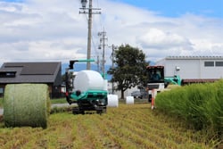 専用収穫機でのWCS用稲の刈り取り作業