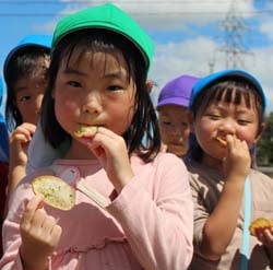 とれたてのジャガイモの味を楽しむ園児