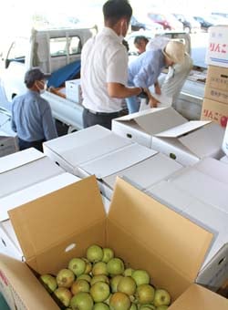 摘果りんごを持ち込む生産者