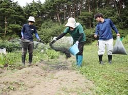 試験区にバイオ炭を施用する職員（長野県富士見町で）