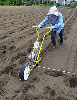 播種機「ごんべえ」で種をまくメンバー