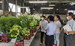 出品された花を確認する審査員