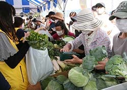 農業祭で地元農産物を買い求める人
