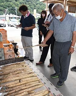 1回目の調査と2回目の調査の芋を比べる生産者