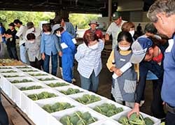 規格を確認する生産者