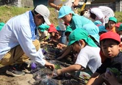 青年部員と一緒に野菜の植え付けをする園児