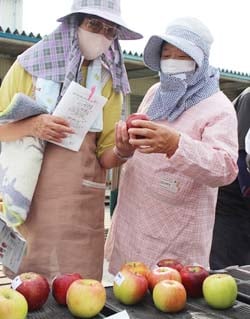 見本を手に取り出荷規格を確認する生産者（20日　長野県松本市で）