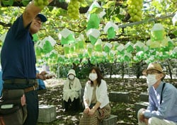 ブドウの特徴など説明する青木さん（左）と参加者