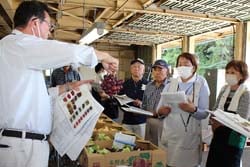 クイーンルージュの出荷目安を確認する生産者（9月14日、佐久市塚原中佐都共撰所で）