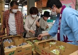 会話を楽しみながら旬のぶどうを買い求めた