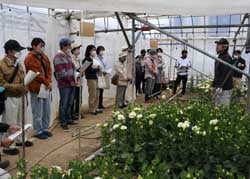 生産者の体験を聞く見学会参加者