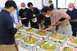 1箱ずつ丁寧に審査する審査員