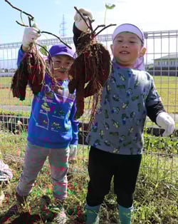 収穫を喜ぶ園児