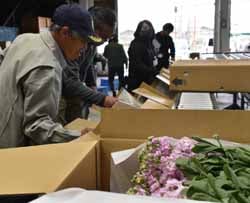 出荷基準を確認する生産者ら（安曇野市堀金）