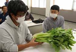 出荷規格を念入りに確認する部会員