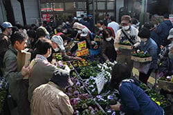 多くの来場客でにぎわう花売り場