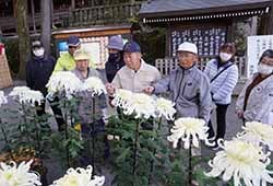 初日の審査会では花の形状や開き具合などを1点ずつ慎重に審査した