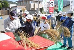 ハーベスターでの脱穀を体験する長地小学校の児童