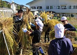 束ねた稲を運ぶ児童