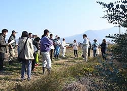 ユーカリを見ながら営農技術員の説明を聞く