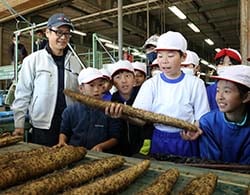 ナガイモの選果作業を見学する児童たち