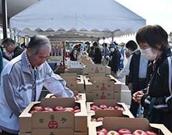 リンゴを品定めする来場者
