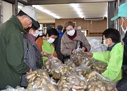 牧大根を買い求める来場者