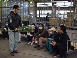 収穫時の開花状態を確認する生産者