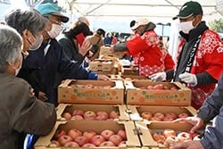 家庭用向けリンゴを販売する会場