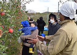 JA青年部員から収穫方法を教わる参加者