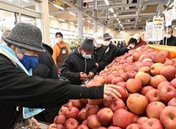 人気を集めたリンゴの詰め放題
