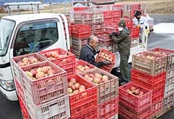 加工用リンゴの集荷を行うすわこ営農センター